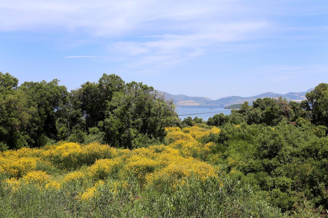 Apartments By The Sea Drace, Peljesac - 10127 Exterior photo