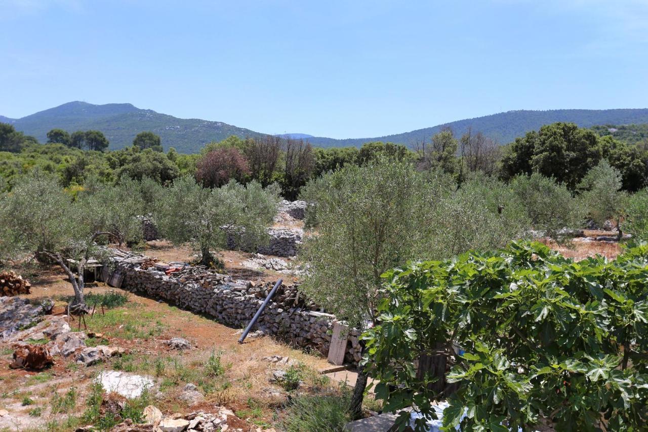 Apartments By The Sea Drace, Peljesac - 10127 Exterior photo
